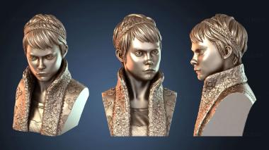 3D модель Виньетка Стоунмос Бюст (STL)