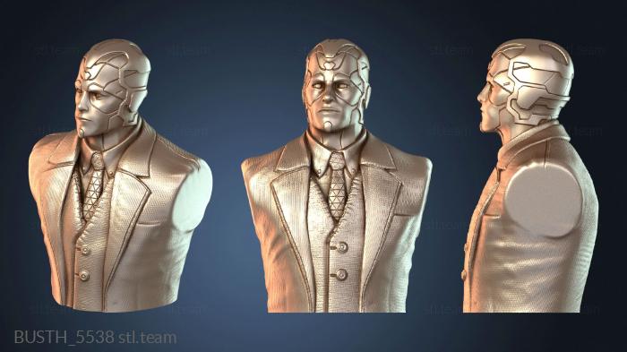 Бюсты монстры и герои Простой бюст Vision