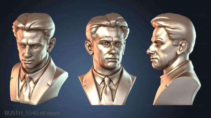 Бюсты монстры и герои Владимир Владимирович