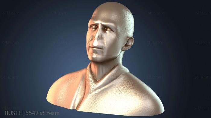 Бюст Волдеморта в высоком разрешении