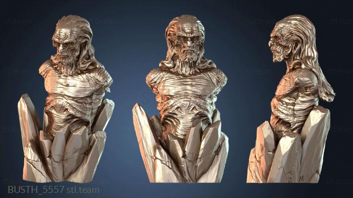 Бюсты монстры и герои Бюст Белого Ходока GOT