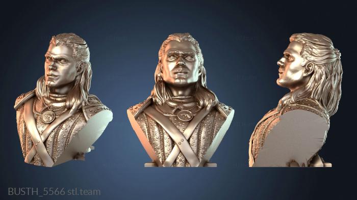 Бюсты монстры и герои Бюст Ведьмака