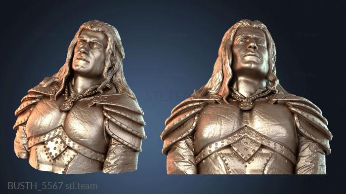 Бюсты монстры и герои Сезон «Ведьмака»