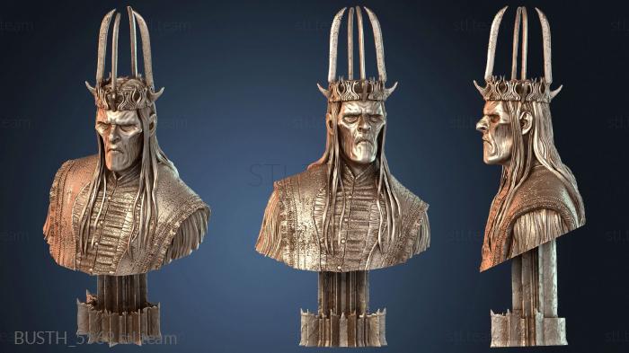 Бюсты монстры и герои Король-ведьмовник