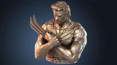 3D модель Детализированный бюст Росомахи от Anycubic (STL)