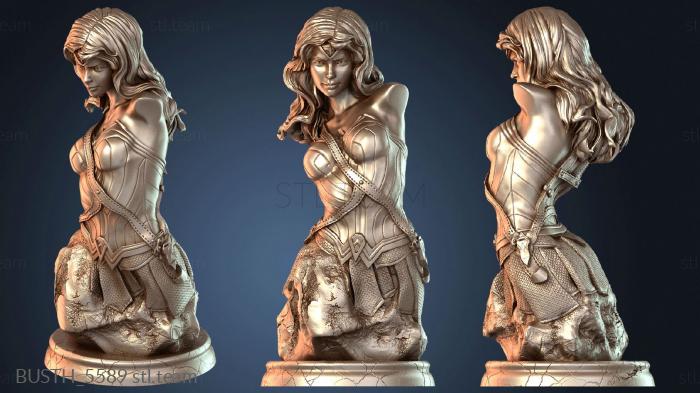 Бюсты монстры и герои Бюст Чудо-женщины, октябрьский выпуск