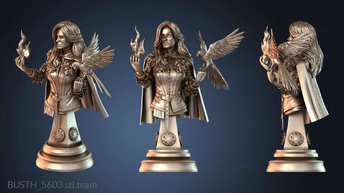 Бюсты монстры и герои Бюст Йеннифэр