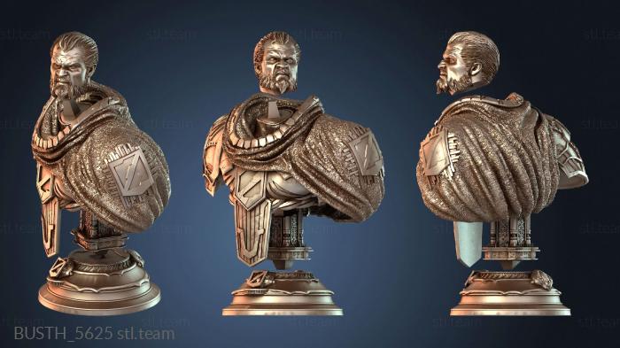 Бюсты монстры и герои Стилизованный портрет бюста Зода