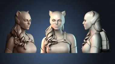 3D модель Бюст персонажа с категорией (STL)