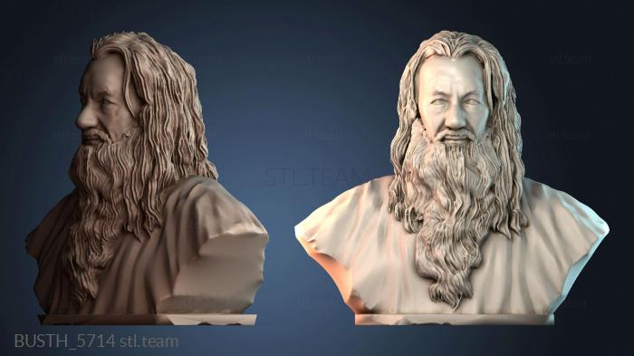 Бюсты монстры и герои BUSTH_5714