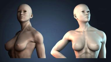 3D модель BUSTH_5836 (STL)