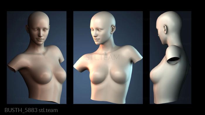 Бюсты монстры и герои BUSTH_5883