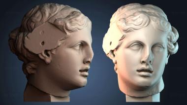 3D модель BUSTH_5909 (STL)