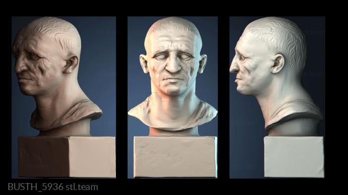 Бюсты монстры и герои BUSTH_5936