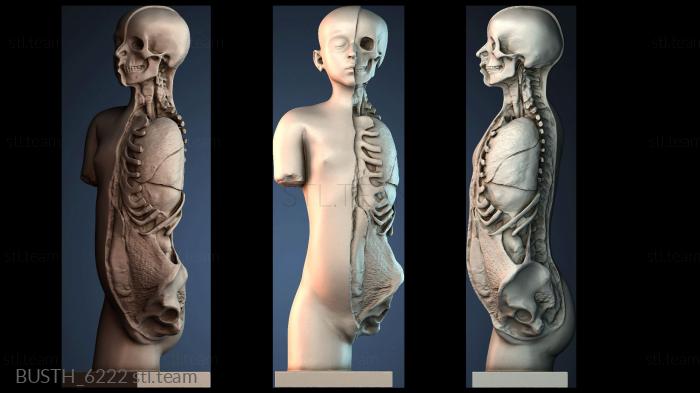 Бюсты монстры и герои BUSTH_6222