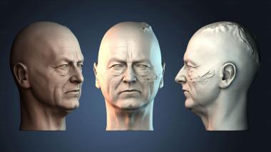 3D модель BUSTH_6236 (STL)