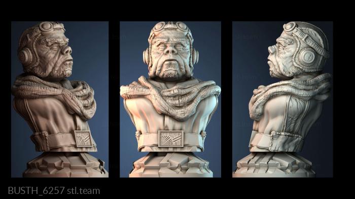 Бюсты монстры и герои BUSTH_6257