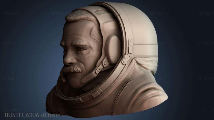 Бюсты монстры и герои BUSTH_6306