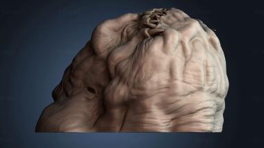 3D модель BUSTH_6338 (STL)