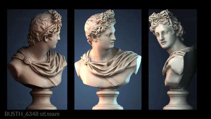 Бюсты монстры и герои BUSTH_6348