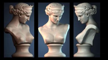 3D модель BUSTH_6356 (STL)