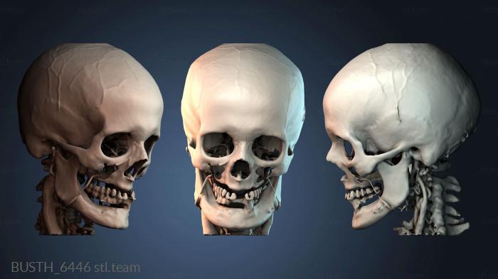 Бюсты монстры и герои BUSTH_6446