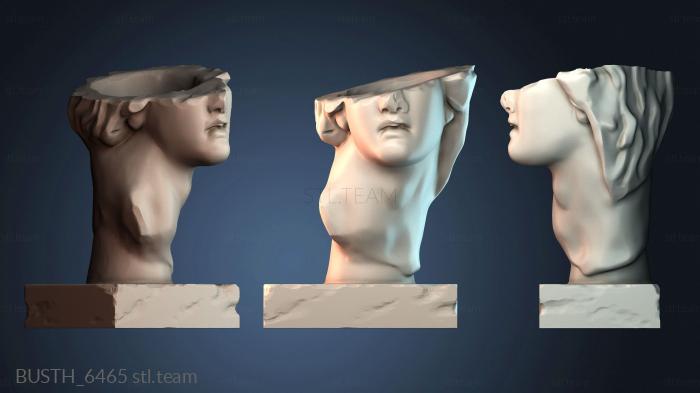 Бюсты монстры и герои BUSTH_6465