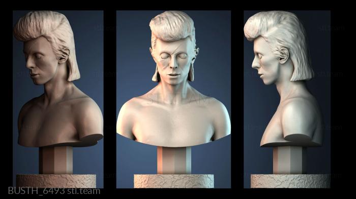 Бюсты монстры и герои BUSTH_6493