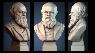 3D модель Бюст Чарльза Дарвина (STL)