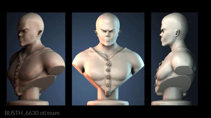 Бюсты монстры и герои BUSTH_6630