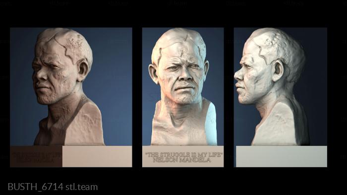 Бюсты монстры и герои BUSTH_6714