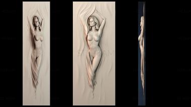 3D model DVERNA_NAKLADKA_0813 (STL)