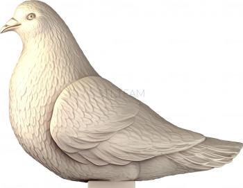3D модель Сидящий голубь (STL)
