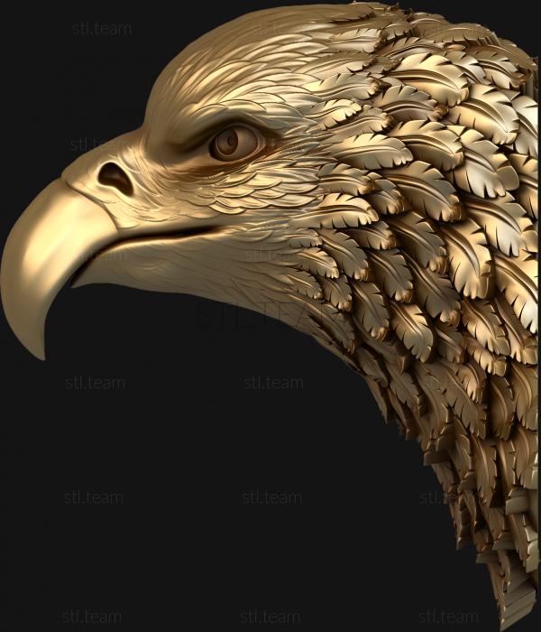 3D model Eagle's head (STL)