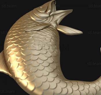 3D model Carp (STL)