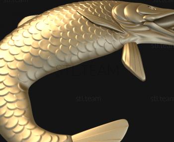 3D model Carp (STL)