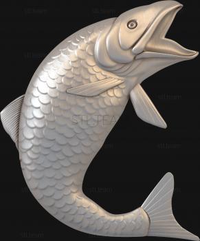 3D model Carp (STL)