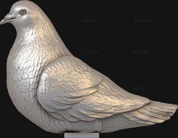 3D model Sitting pigeon (STL)