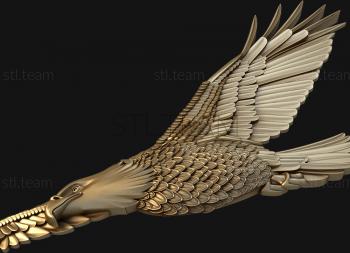 3D модель Парящий орел (STL)