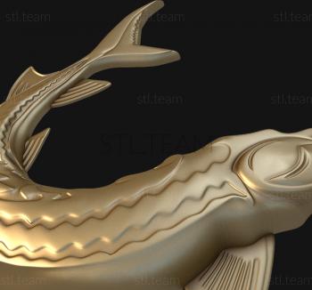 3D model Sturgeon (STL)