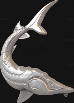 3D model Sturgeon (STL)