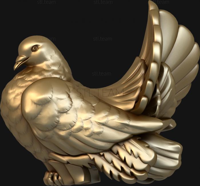 3D модель Красивый голубь (STL)