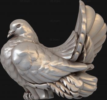 3D model Beautiful pigeon (STL)