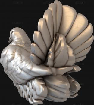 3D model Beautiful pigeon (STL)