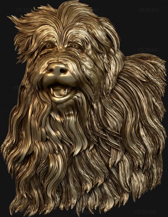 3D model Shaggy dog (STL)