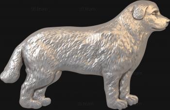 3D model Newfoundland (STL)