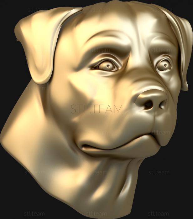 3D model Rottweller's face (STL)