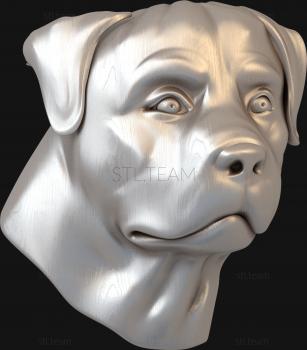 3D model Rottweller's face (STL)