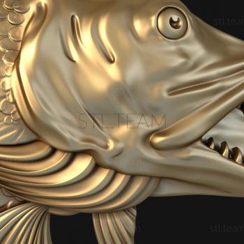 3D model Pike's head (STL)