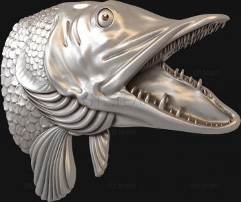 3D model Pike's head (STL)